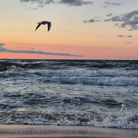 Nyaraló 2 Bedroom Cozy In