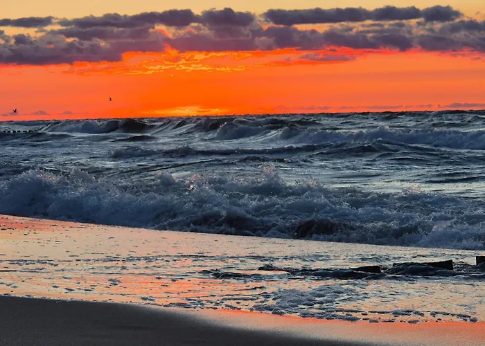 2 Bedroom Cozy In Sarbinowo